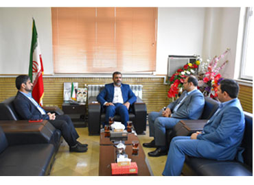 اخبار
